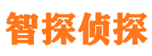 宁乡市调查公司